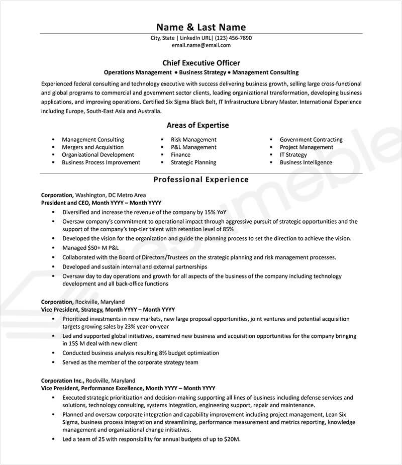 Sample Resumes for Ceo Executive